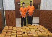 Polda Sumut Gagalkan Peredaran 255 Kg Ganja, 2 Kurir Diamankan