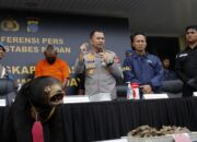 Polisi Berhasil Ungkap Kasus Penjualan Satwa di Medan