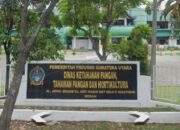 APH Didesak Usut Proyek Renovasi Dua Gudang Benih Induk Padi Dinas Ketapang TPH Sumut Rp4.962.646.879,02