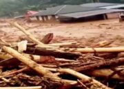 Apkasindo Minta Periksa Kemenhut Terkait Bencana Sumatra