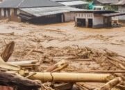 Dianggap “Sumbang” Bencana di Sumatra, Tiga Perusahaan Dihentikan Operasionalnya