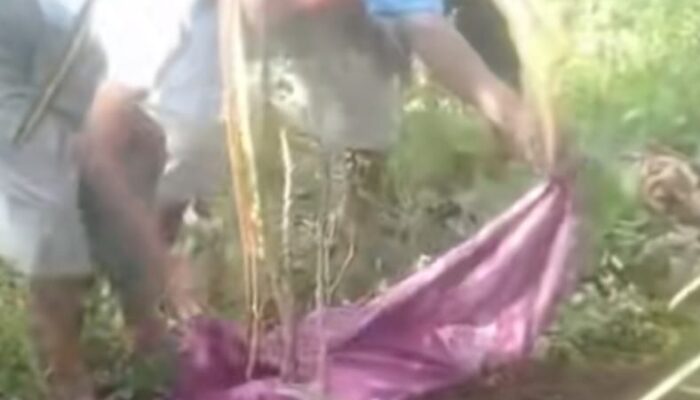 Ibu Muda di Jember Tega Mutilasi Bayinya