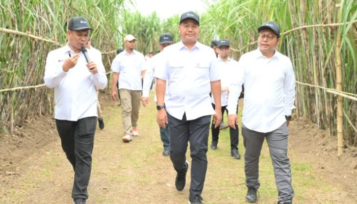 Komisaris Utama Danantara Kunker ke PG Sei Semayang