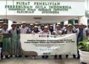 PT RPN Selenggarakan Pelatihan Bongkar Ratoon