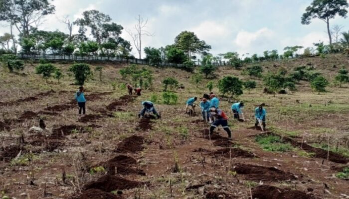 Holding Dorong RPN Perkuat Ekonomi Lewat Program Kopi Robusta