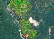 Dituding Bikin Rusak Hutan, PTPN I Regional 1 Didesak ‘Minggat’ dari Langkat