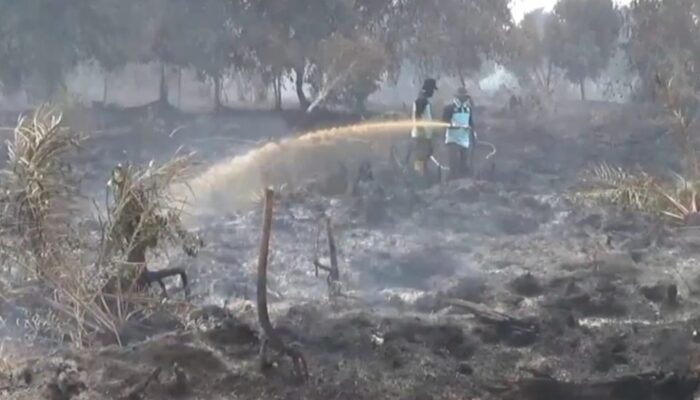 Pengusaha Asal Medan Jadi Tersangka Kebakaran Lahan Gambut di Jambi