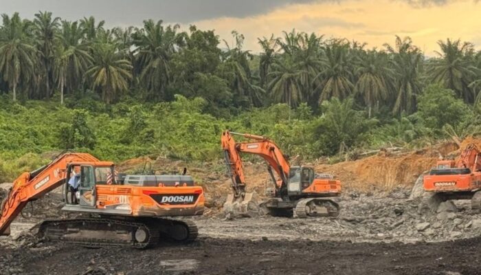 Tambang Ilegal di Cagar Alam Teluk Adang Digerebek