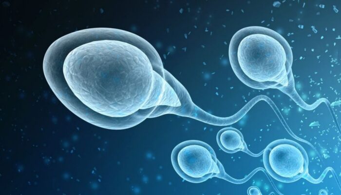 Jangan Biarkan Sperma Mengendap Lama, Bisa Bahaya