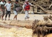 Update Korban Bencana Sumut, 318 Meninggal dan 123 Hilang