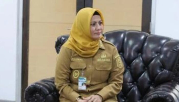 Hellyana Jadi Tersangka Dugaan Ijazah Palsu