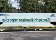 Penjualan Lahan PTPN II di Desa Dalu Sepuluh A Tanjung Morawa Diduga Libatkan Anggota DPR RI