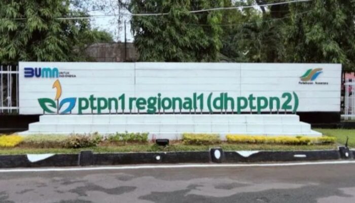 Penyidik Belum Lakukan Penyelidikan Kasus Kelebihan Bayar PTPN II Rp8.271.191.768,56