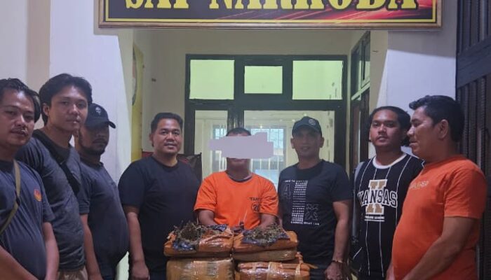 Polisi Tembak Bandar Ganja di Labusel