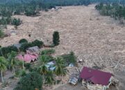 Polisi Bakal Tetapkan Tersangka Terkait Kayu Gelondongan di Sumatera