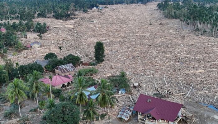 Polisi Bakal Tetapkan Tersangka Terkait Kayu Gelondongan di Sumatera