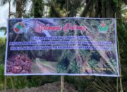 PTPN IV Regional 5 Dorong Keberlanjutan Sawit Rakyat
