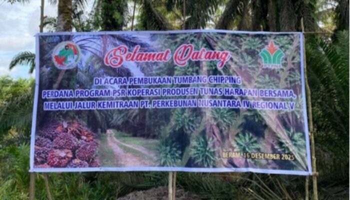 PTPN IV Regional 5 Dorong Keberlanjutan Sawit Rakyat