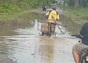 Diguyur Hujan Deras, Sejumlah Desa di Langkat Tergenang Air