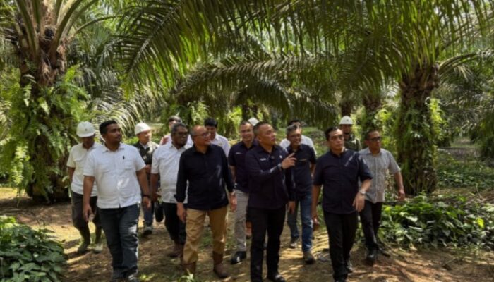 PTPN IV Regional III Perkuat Kontribusi Holding Perkebunan Nusantara