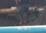 Limbah PMKS PT Palmaris Raya Diduga Sengaja Dibuang ke Sungai