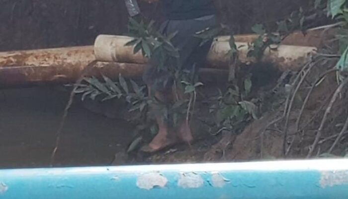 Limbah PMKS PT Palmaris Raya Diduga Sengaja Dibuang ke Sungai