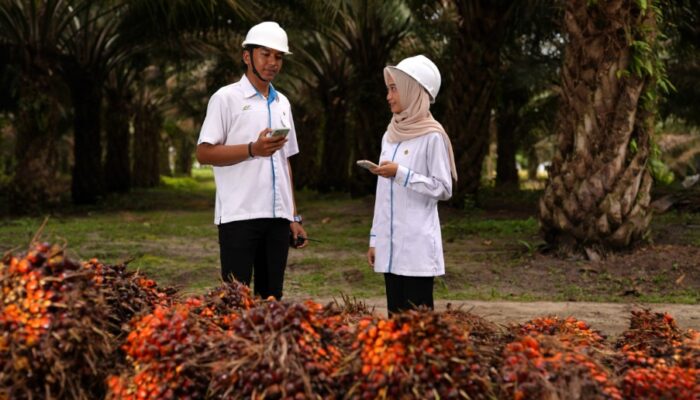 Kelola Kebun Sawit Skala Luas, PalmCo Catat 23,3 Juta Jam Kerja Aman Zero Accident