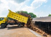 Holding Perkebunan Nusantara Perkuat Kemitraan Petani