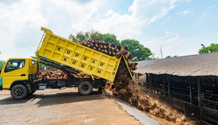 Holding Perkebunan Nusantara Perkuat Kemitraan Petani