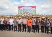 Polres Sergai Turut Panen Jagung Serentak Kuartal I 2026