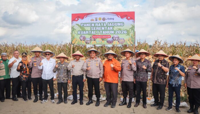Polres Sergai Turut Panen Jagung Serentak Kuartal I 2026