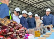 Danantara Sebut Transformasi PalmCo Perkuat Kemandirian Pangan dan Energi Nasional