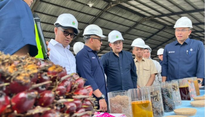 Danantara Sebut Transformasi PalmCo Perkuat Kemandirian Pangan dan Energi Nasional