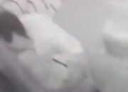 Video Aksi Tak Senonoh Pegawai RSUD Kudus Beredar