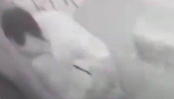 Video Aksi Tak Senonoh Pegawai RSUD Kudus Beredar