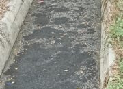 Warga Jalan Platina IV Resah, FA Buang Limbah Ayam Potong Sembarangan