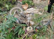 Pengendara Motor Tewas Tertabrak KA di Perlintasan Pasar Bengkel Sergai