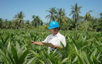 PTPN IV PalmCo Salurkan 6 Juta Bibit Unggul