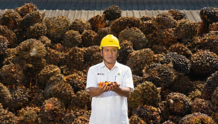 CPO PTPN IV PalmCo Dominan Diserap Pasar Domestik