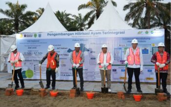 Pemerintah Perkuat Swasembada Protein, Holding Perkebunan Nusantara Dukung Hilirisasi Ayam Terintegrasi