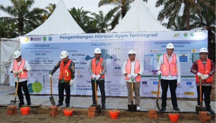 Pemerintah Perkuat Swasembada Protein, Holding Perkebunan Nusantara Dukung Hilirisasi Ayam Terintegrasi