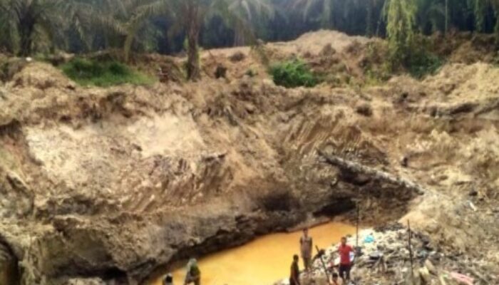 Jadi Ancaman Nyata, Tambang Emas Ilegal di Madina Tanpa Tindakan
