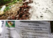 Kualitas Pekerjaan Jalan Produksi Pertanian Kabupaten Simalungun Buruk
