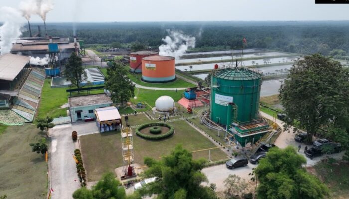 ROA PalmCo Tembus 7,9 Persen