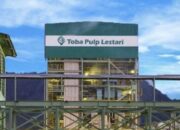 Ratusan Ribu Hektare Lahan Milik Toba Pulp Lestari Disita Satgas