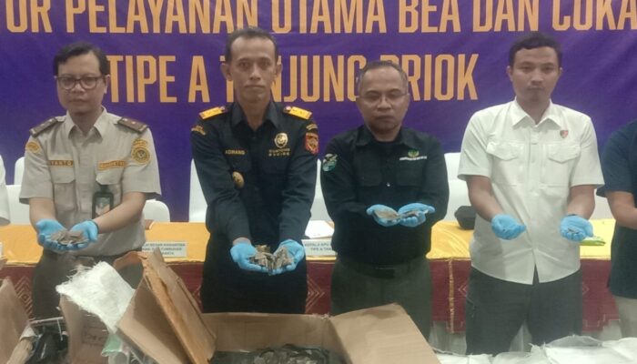 Penyelundupan 3 Ton Sisik Trenggiling Digagalkan Bea Cukai