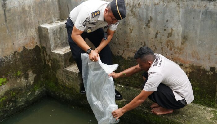Lapas Kelas I Medan Lepas Bibit Ikan Nila dan Panen Kangkung Hidroponik