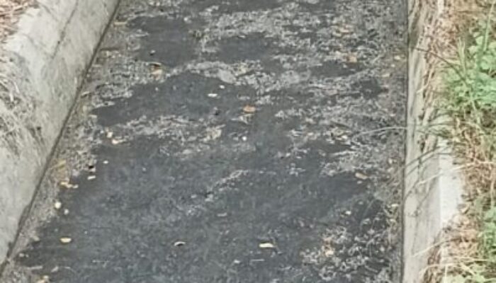 Warga Murka, Faisal Sembarangan Buang Limbah Ayam Potong Miliknya di Jalan Platina
