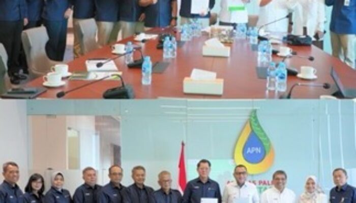 Holding Perkebunan Nusantara Perkuat Pemasaran Sawit