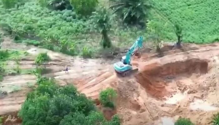 Aktivitas PETI di Area Lahan PT Perkebunan Sumut ‘Terorganisir’